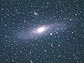 M31