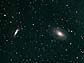 M81