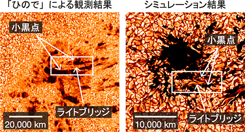 (左)「ひので」による形成中の黒点の観測、(右)黒点形成シミュレーションの結果 (左)「ひので」による形成中の黒点の観測、(右)黒点形成シミュレーションの結果