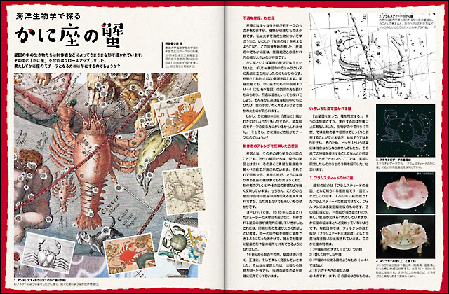 かに座の蟹 かに座の蟹