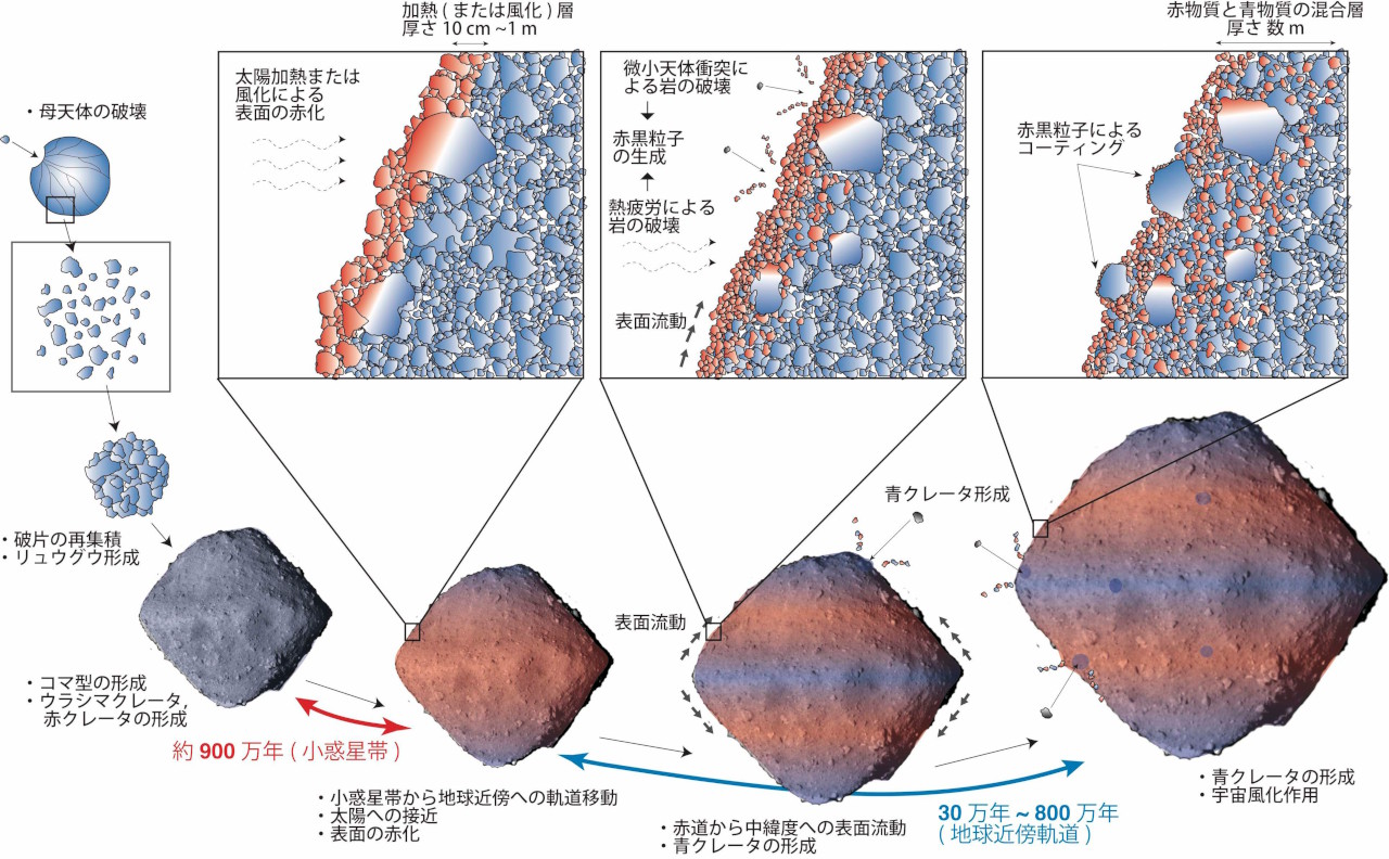 リュウグウの進化史 リュウグウの進化史