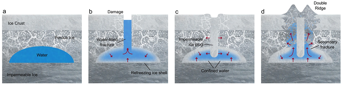二重稜線の形成プロセス 二重稜線の形成プロセス