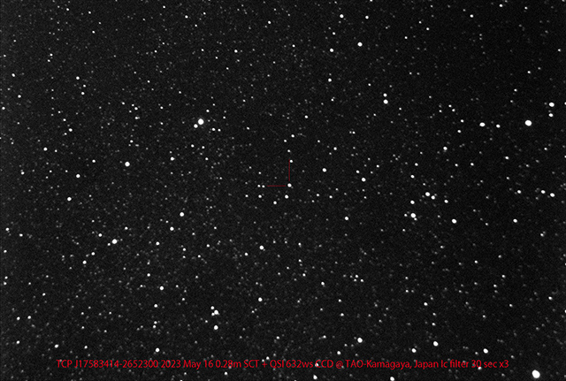 確認画像 確認画像