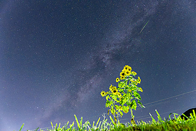 北山さんの作品例 北山さんの作品例