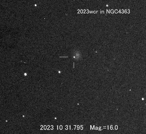 りゅう座の新天体 りゅう座の新天体