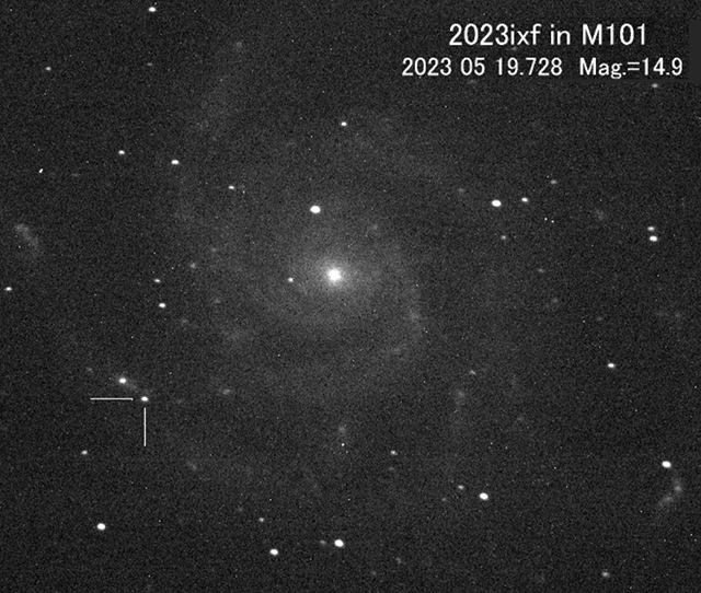 超新星2023ixf 超新星2023ixf