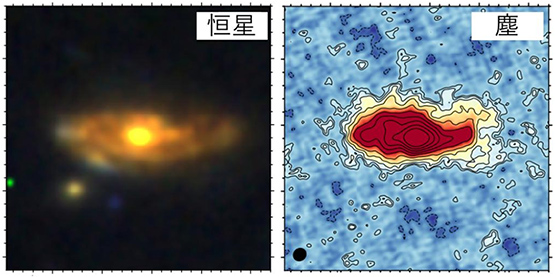 ADF22.A1の恒星と塵の成分