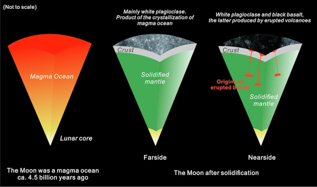 月の地殻の形成過程 月の地殻の形成過程