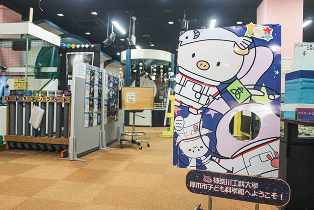 展示