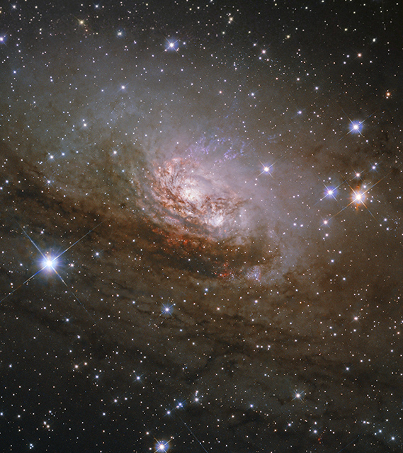 コンパス座銀河 コンパス座銀河