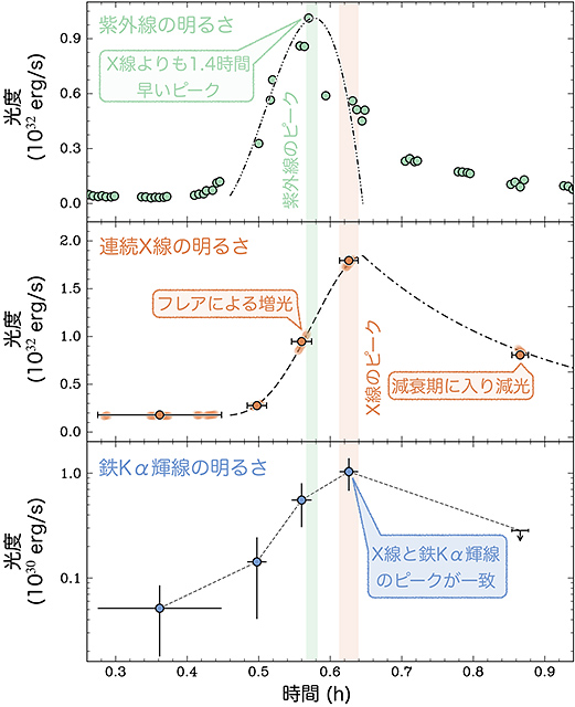 フレア中の紫外線・連続X 線・鉄Kα輝線の時間変動