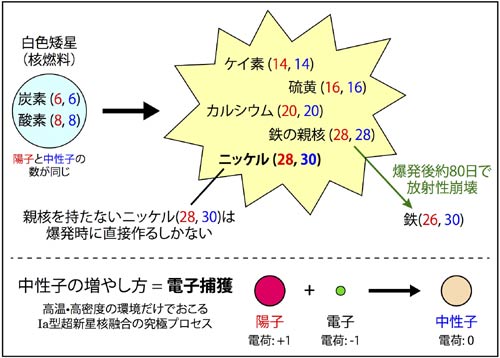 Ia型超新星における核融合反応