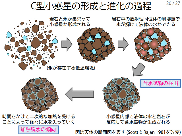 C型小惑星の形成と進化