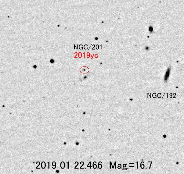 くじら座の超新星