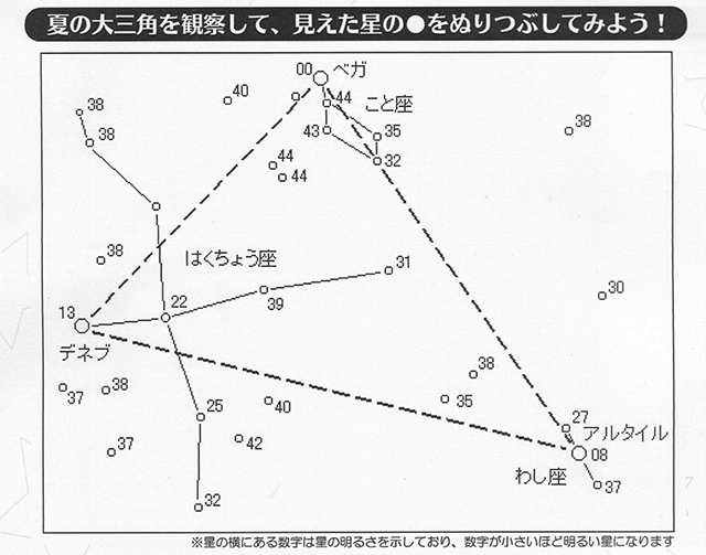 調査用紙