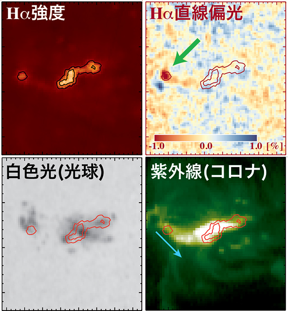 強い直線偏光が見られたフレアにおけるHα放射強度、直線偏光とフレア発生中の光球・コロナ