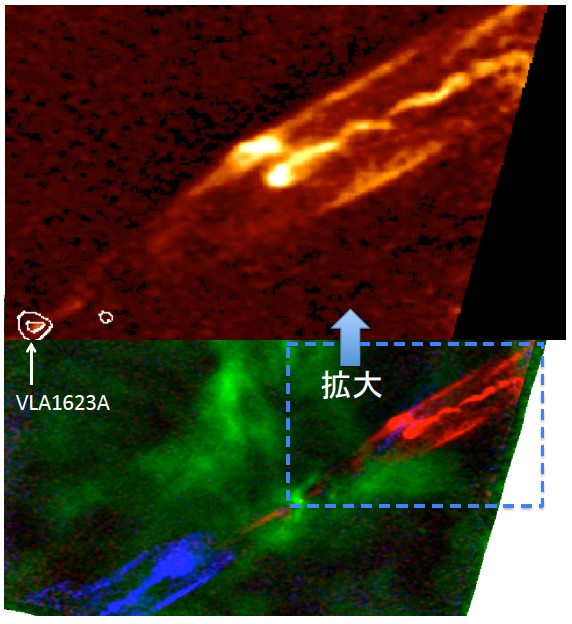 VLA 1623Aからの高速度分子流とジェットに見られる波打つ構造