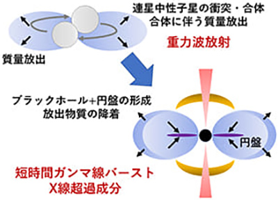 連星中性子星の衝突・合体で重力波とショートガンマ線バースト、X線超過が生じる様子