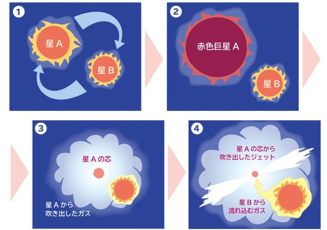 年老いた星を含む連星系の進化のイメージ図