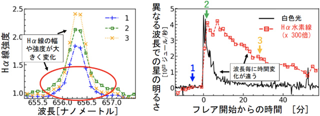 フレア中のHα水素線の時間変化と波長毎の明るさの時間変化