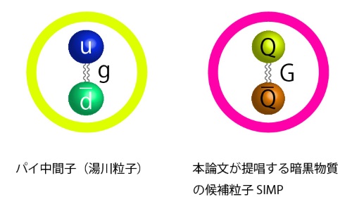 パイ中間子とSIMPの構造