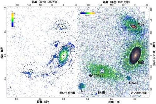 M81、M82、NGC 3077の周りの主系列星（左）と赤色巨星（右）の空間分布図