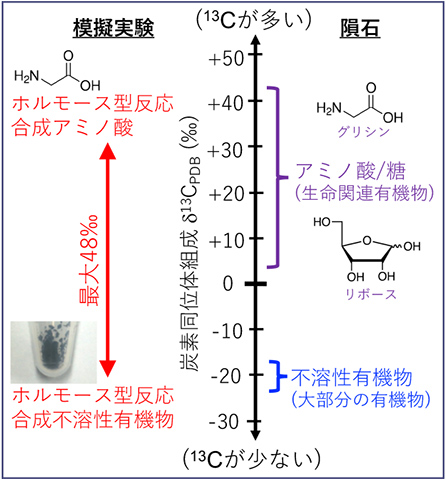 隕石有機物とホルモース型反応合成有機物の炭素同位体組成