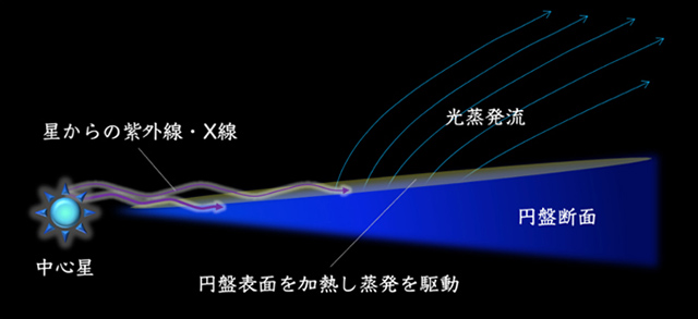 原始惑星系円盤における光蒸発の模式図