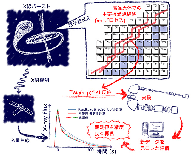 本研究の流れ図