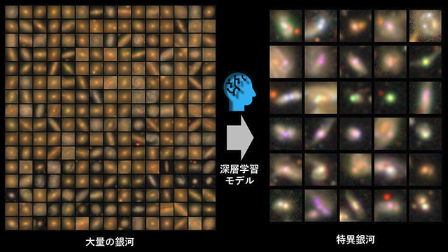 今回の研究のイメージ図