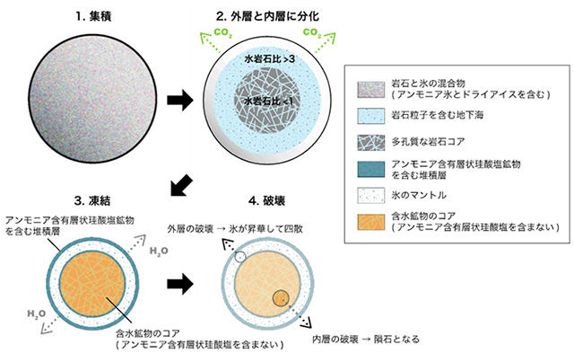 今回の研究成果から導かれたC型小惑星の形成進化史