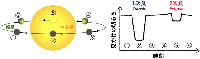 惑星による中心星の食の概念図