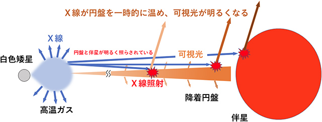 円盤の幾何学的構造