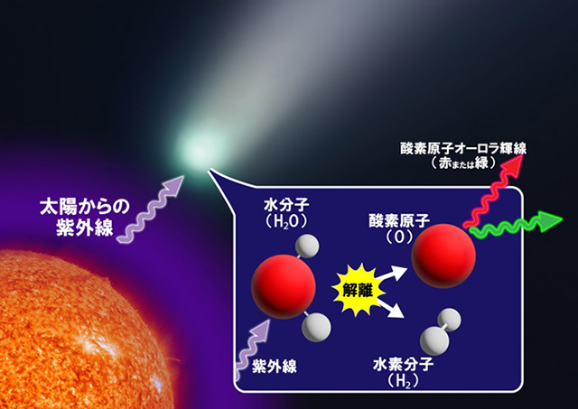 今回の研究のイメージ図