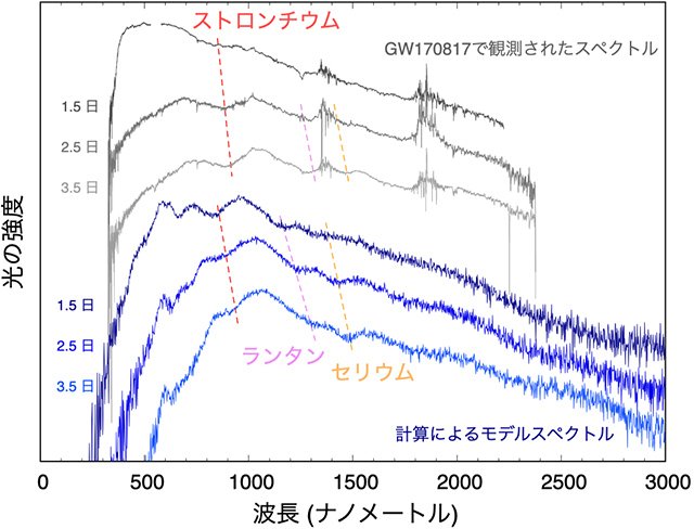 キロノバのスペクトルと本研究で得られたスペクトル