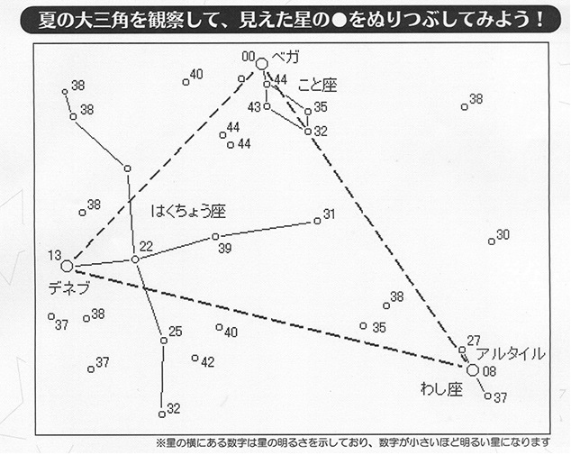 調査用紙