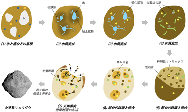 リュウグウの形成過程