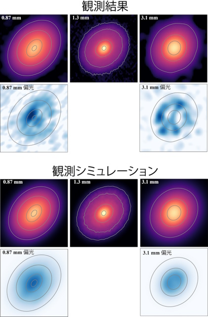 おうし座DG星円盤の電波強度と偏光強度