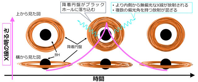 短時間で降着円盤がブラックホール中心に迫り、降着円盤の内側がブラックホールに落ち込む様子の概念図