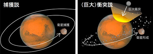 捕獲説（左）と巨大天体衝突説（右）