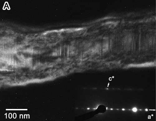 氷の中から発見された彗星由来のちりの微粒子