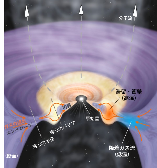 惑星系円盤形成の様子