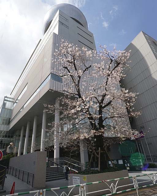 渋谷区文化総合センター大和田