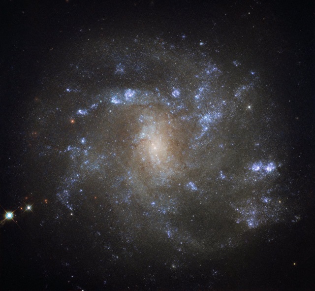 NGC 2500