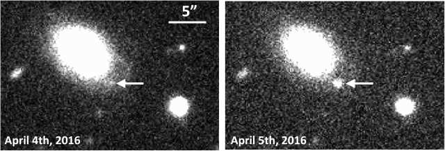 爆発直後のIa型超新星