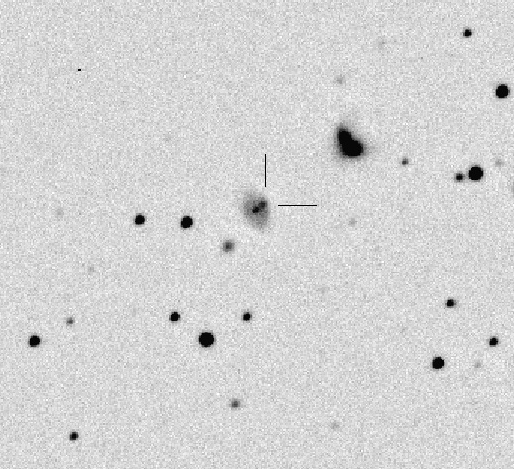 おおぐま座の超新星