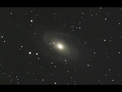 M81