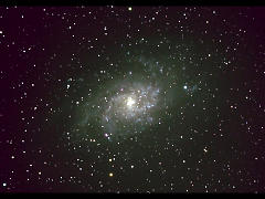 M33