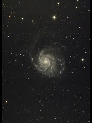 M101