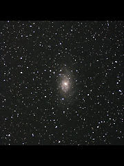 M33